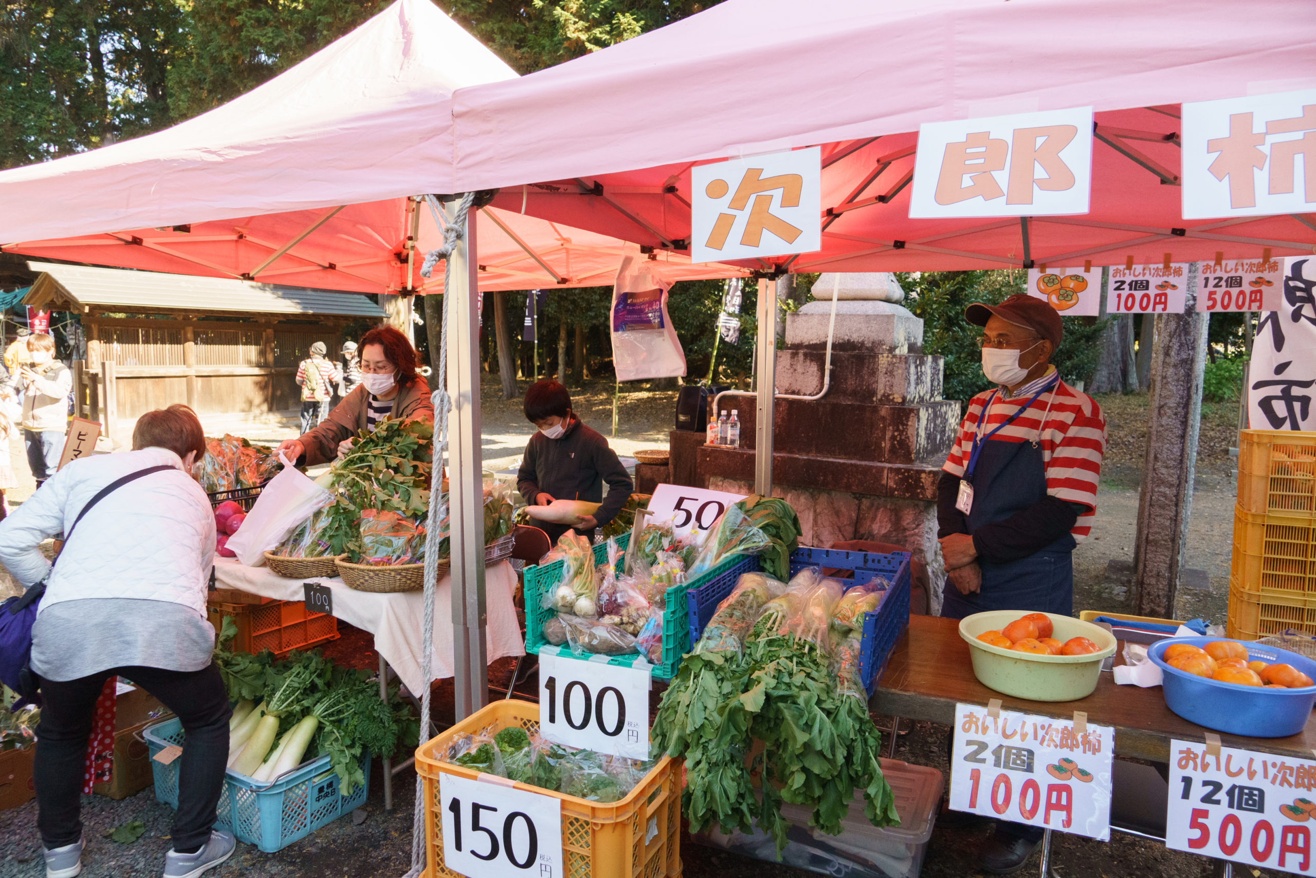 石巻山　ボーダー日和