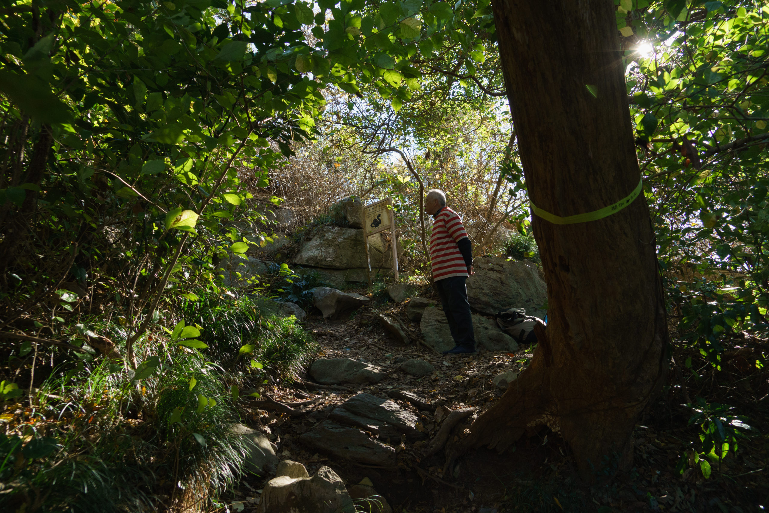 石巻山　トレジャーハンティング
