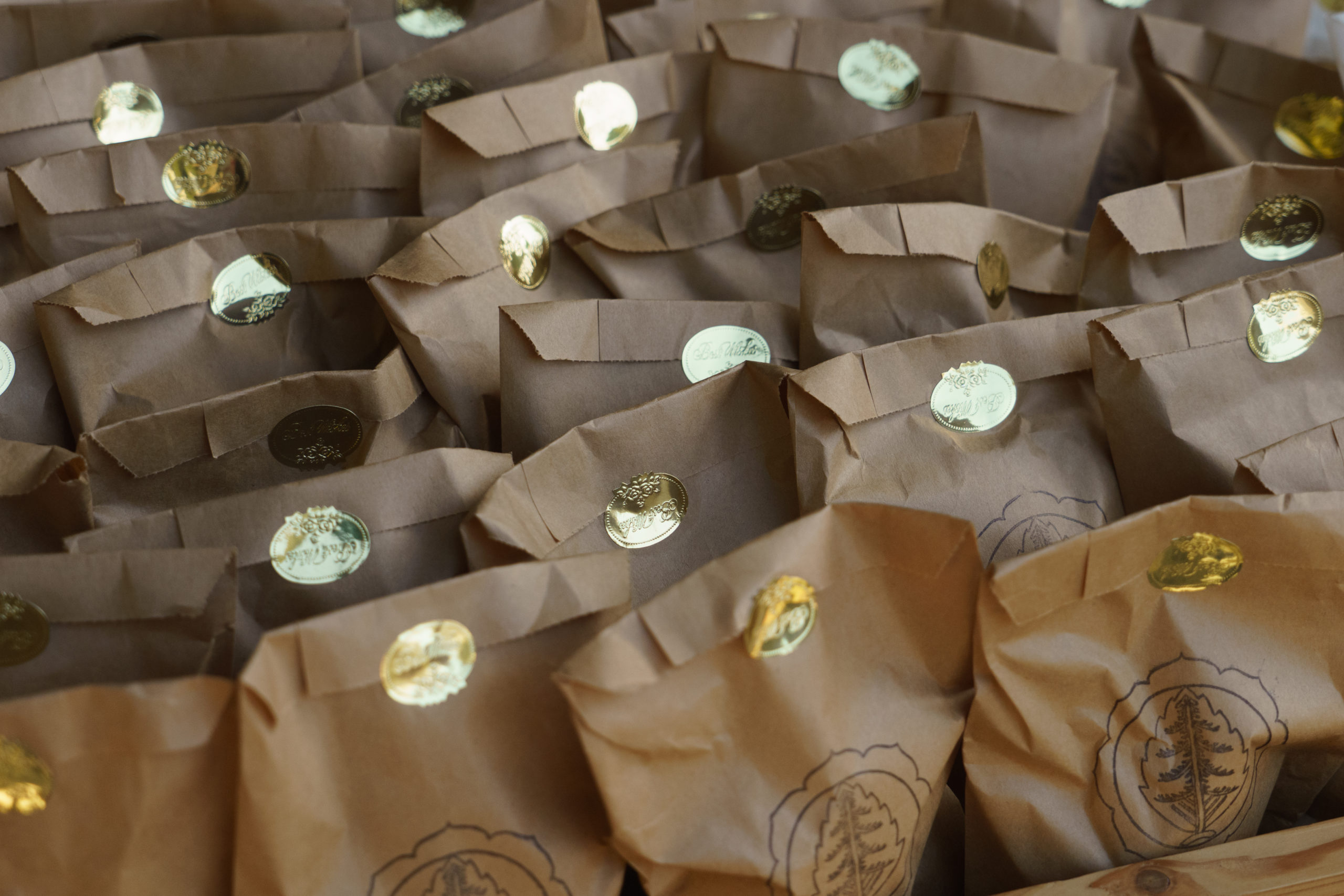 石巻山　ボーダー日和